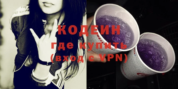 крисы Нижний Тагил