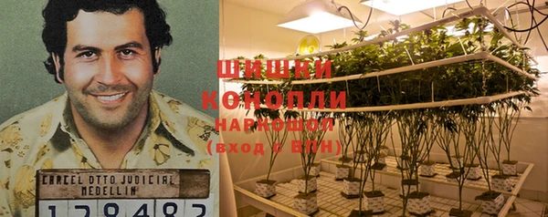 мдпв Липки