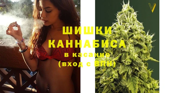 шишки Алзамай