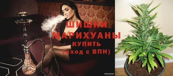 шишки Алзамай
