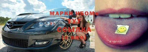 шишки Алзамай
